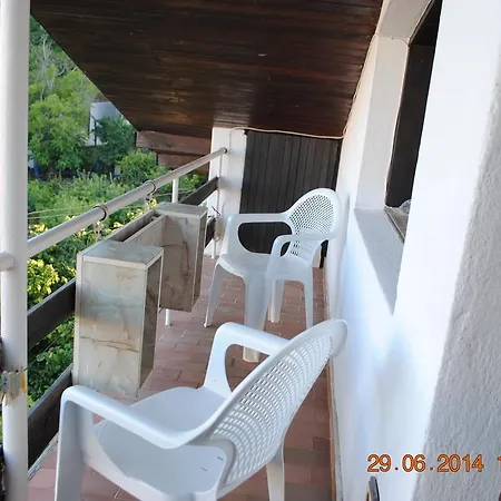Guest house Palma 3*